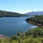 HUMOR: JAGUAR STALKING IN PANAMA